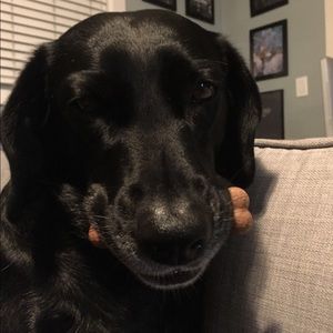 Meet your Posher, Leah